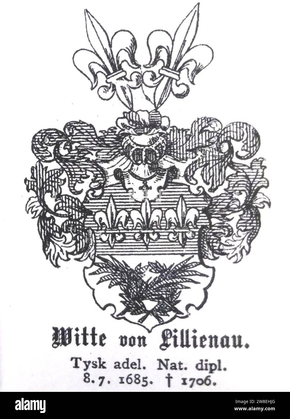 Witte von Lillienau 1685 Tafel132. Stock Photo