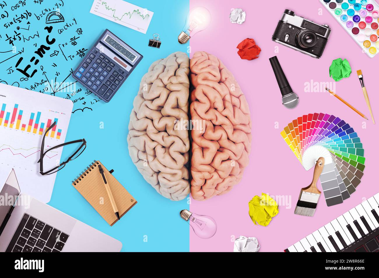 Creative Brain With Left Math Business Functions And Right Creative Art Ability. Logic, Mind And Skills, Creative Idea. Teaching Choice, Concept. Scho Stock Photo