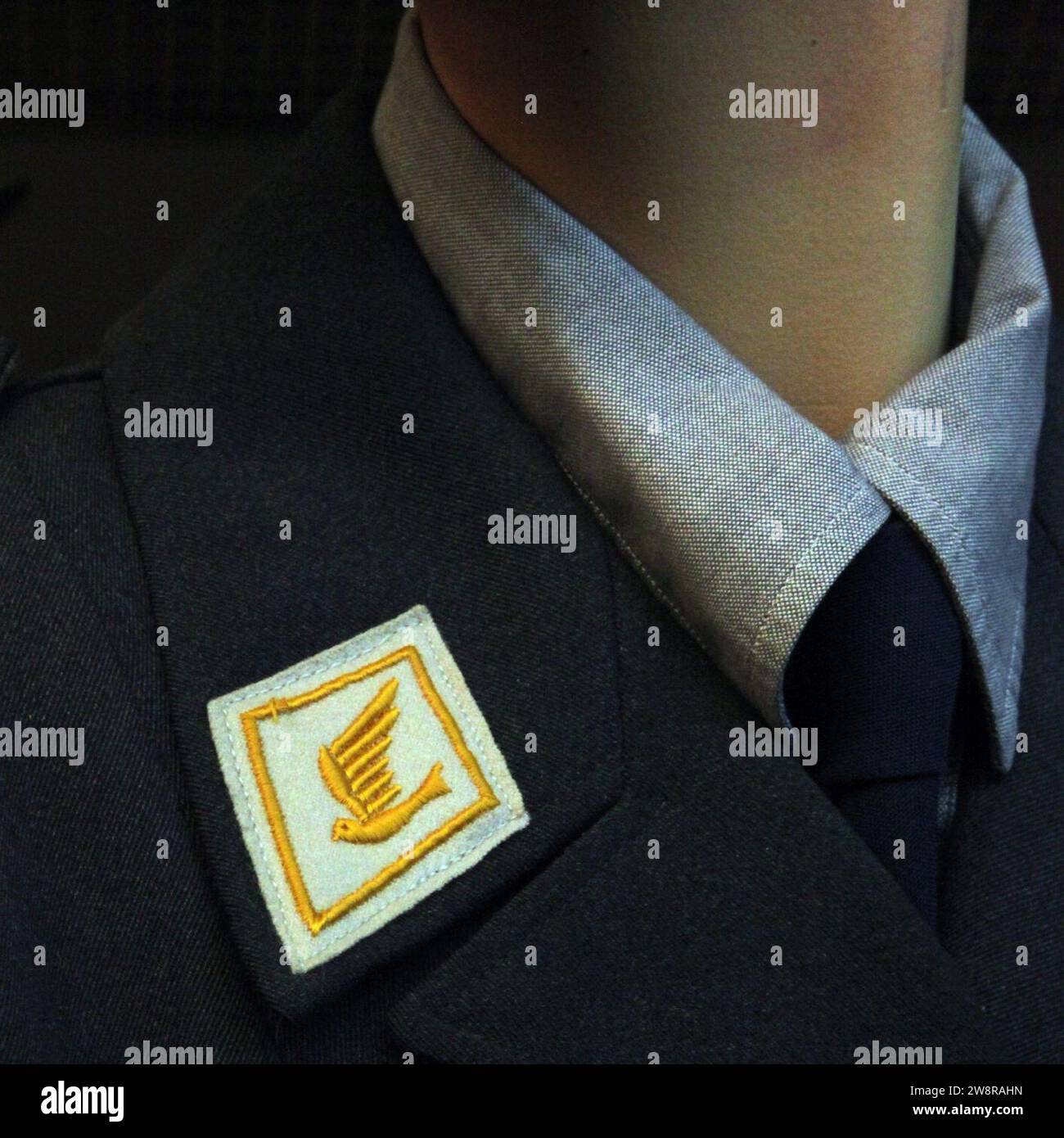 Woman auxiliary of the pigeon service of the Swiss Army at MGG-IMG 0103. Stock Photo