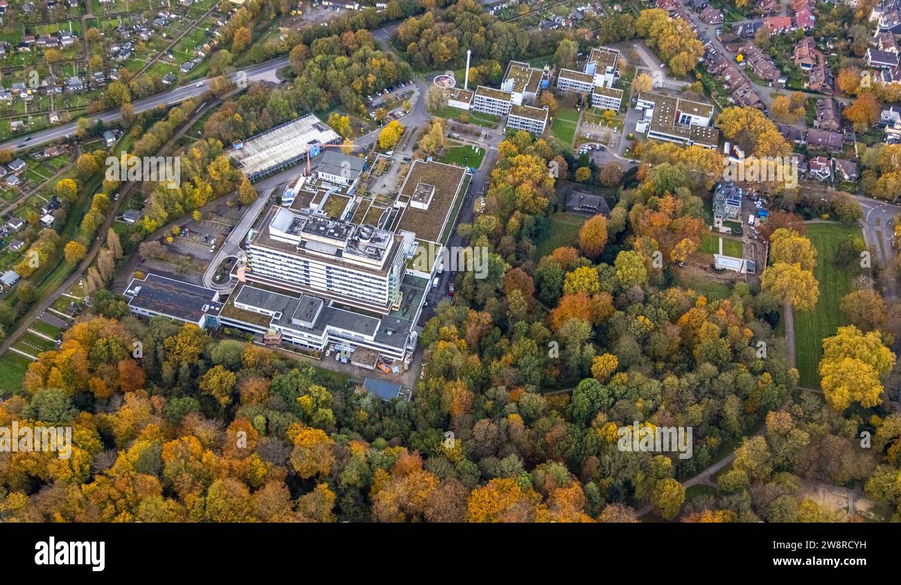 Aerial view, Marienhospital Gelsenkirchen hospital and helipad, surrounded by autumnal deciduous trees, Kirchliches Bildungszentrum für Gesundheitsber Stock Photo