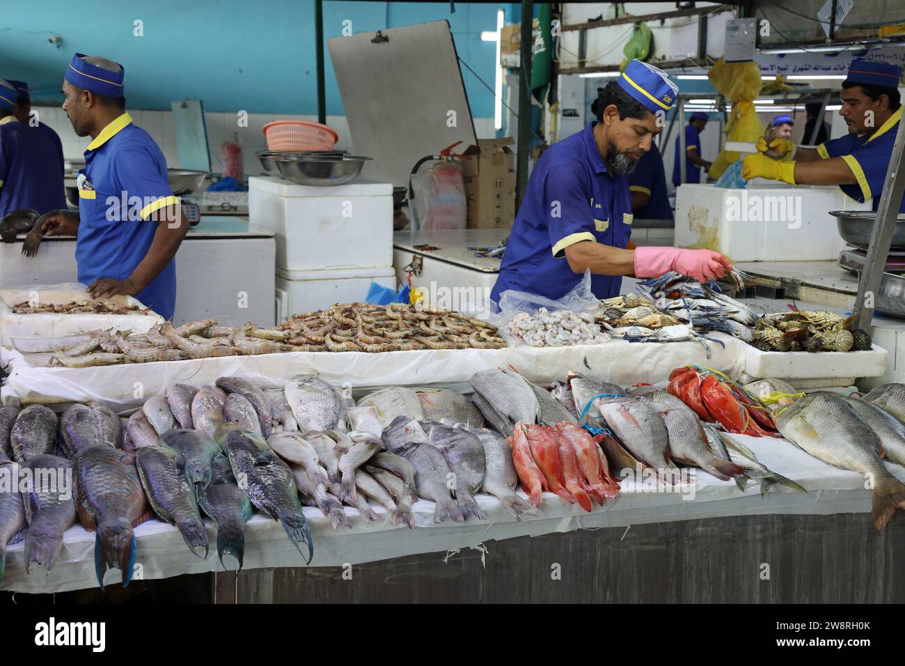 Fresh seafood from the Red Sea on sale at Jeddah Central Fish Market