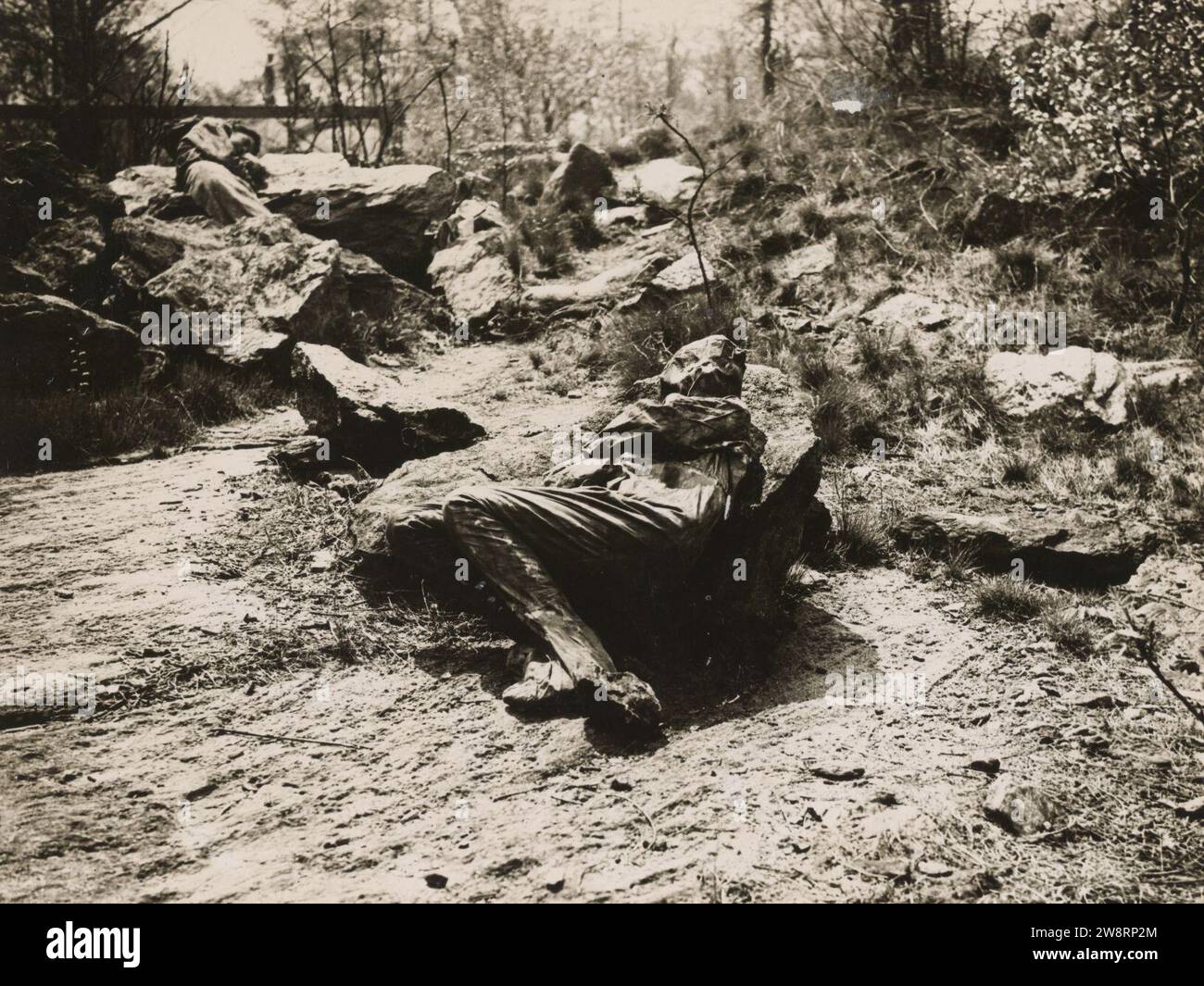 Women's Reserve Camouflage Corps when they are Camouflaged. Stock Photo