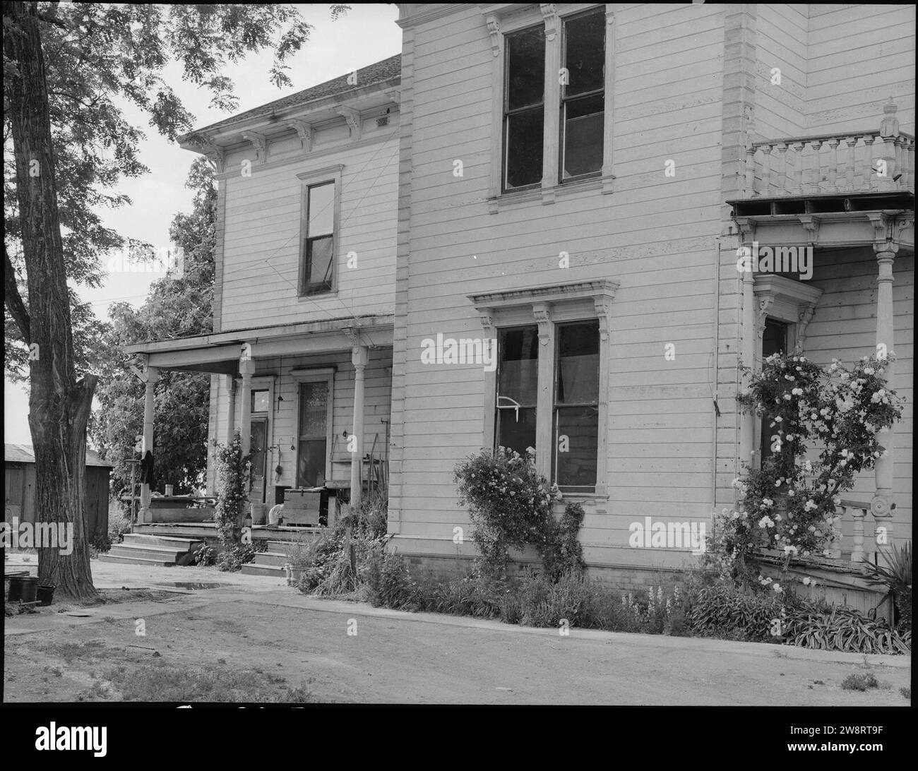 Woodland, California. This house, a mansion of the 1890's, was