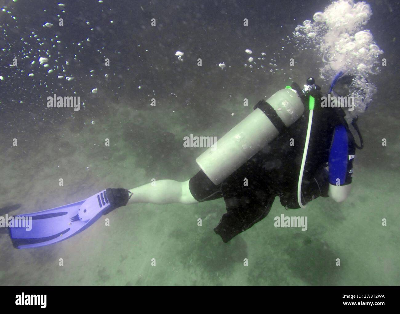 Wounded Warriors Soldiers Undertaking Disabled Scuba Stock Photo Alamy