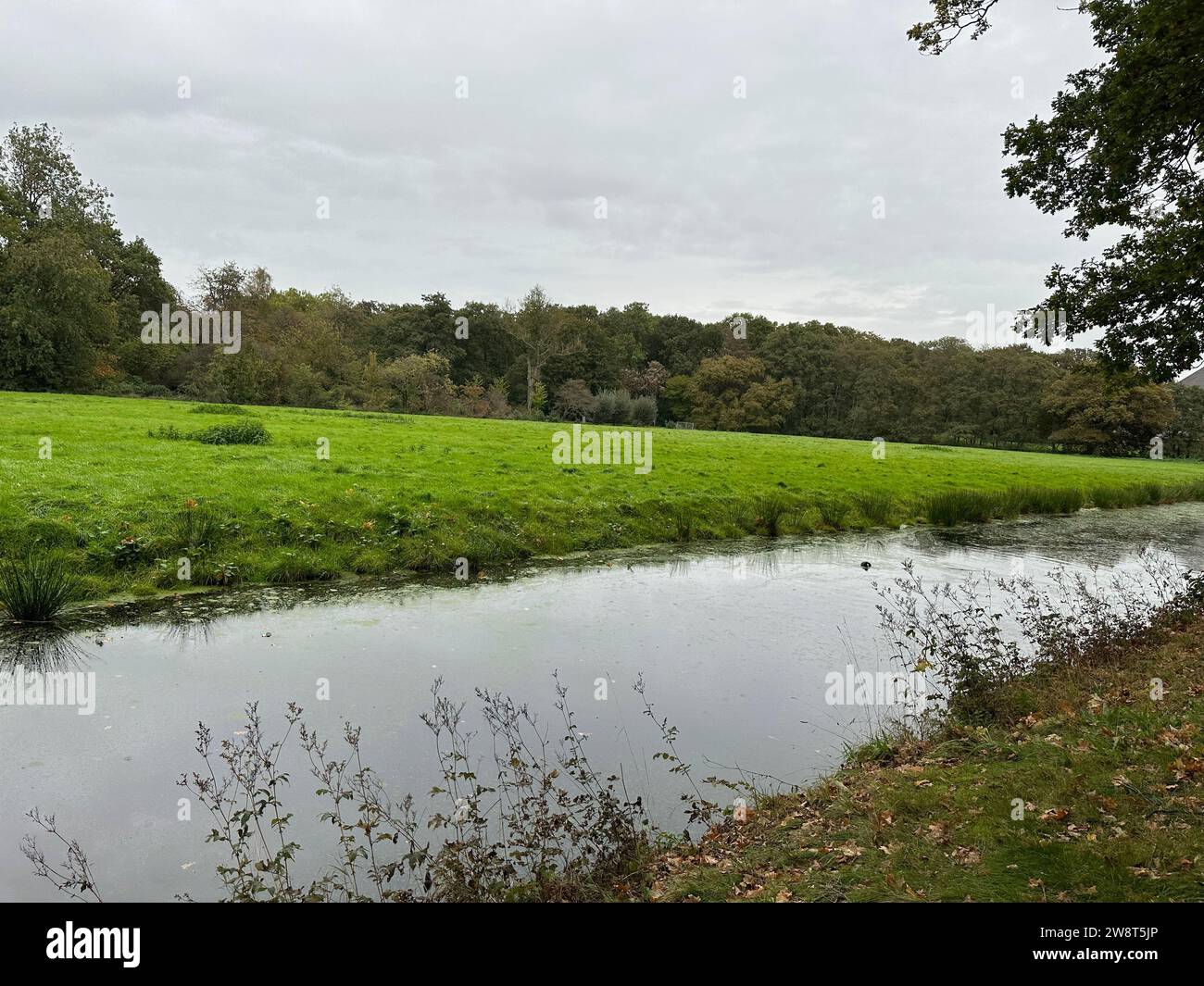 Beautiful trees, green grass and water channel in park Stock Photo