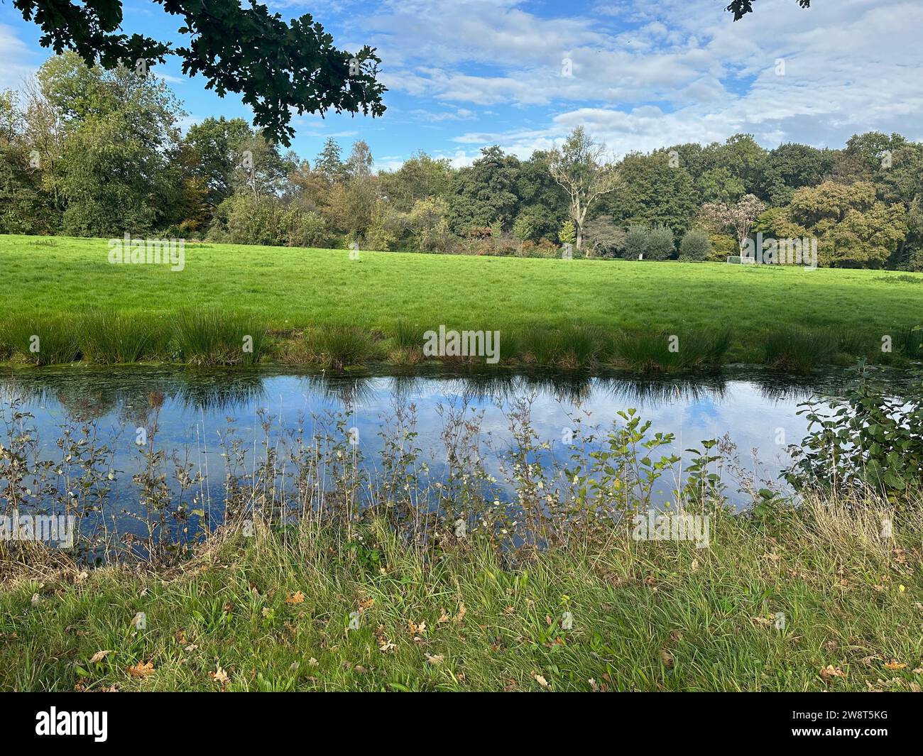 Beautiful water channel, green grass and trees in park Stock Photo