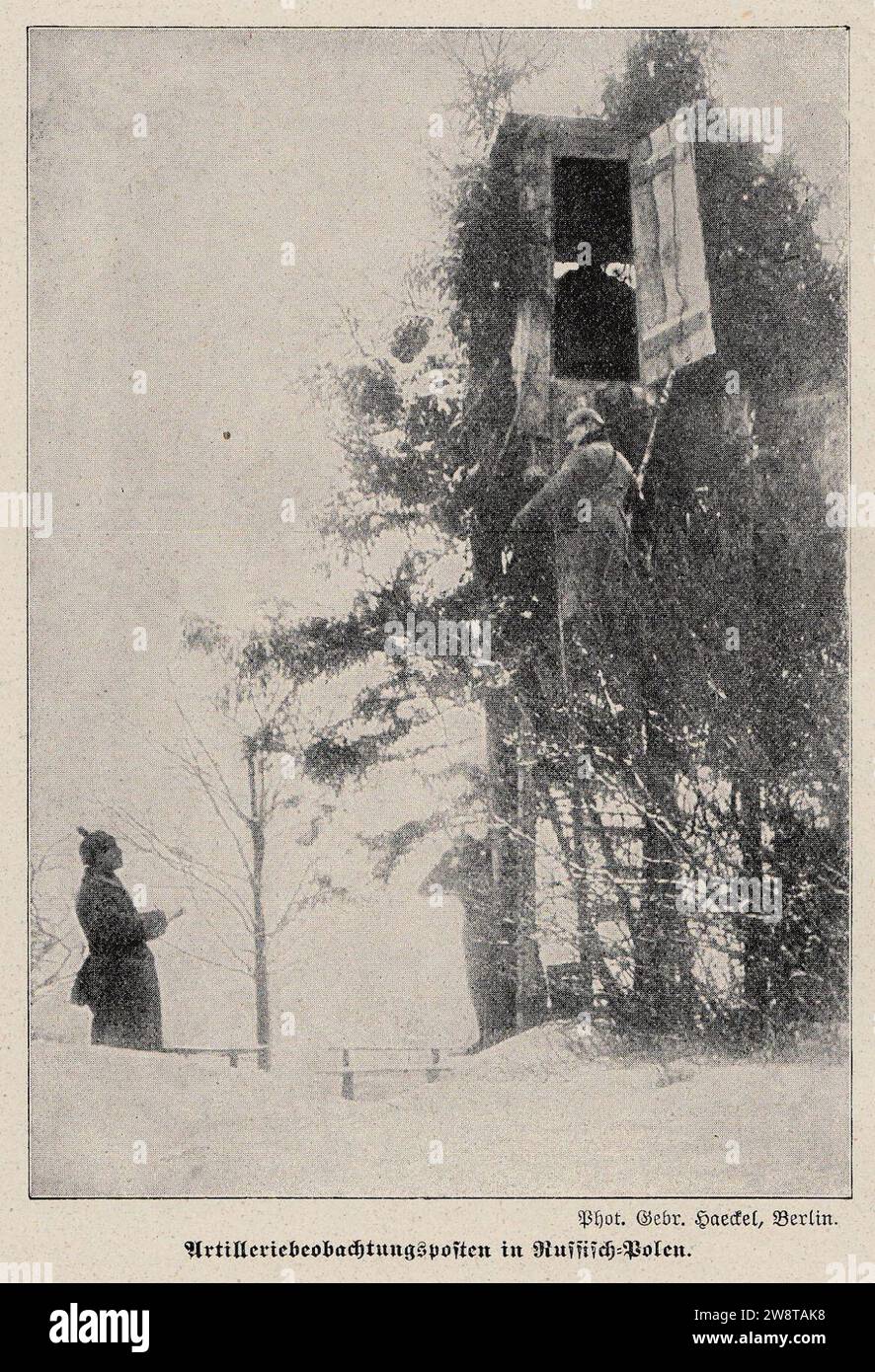 WWI German artillery observation post in Poland (49612284633). Stock Photo