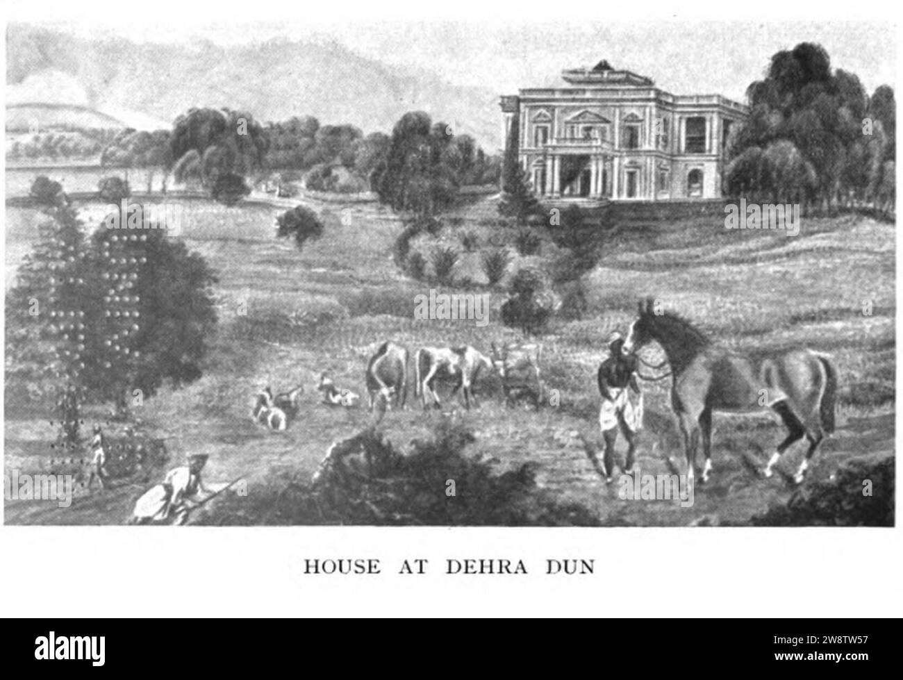 Young Dehra Dun Stock Photo - Alamy
