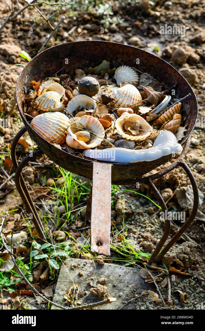 An old rusted iron pot adorned with antique scallop shells, alongside dried leaves and forest nuts. Below, on the ground, lie dry leaves and soil. Stock Photo