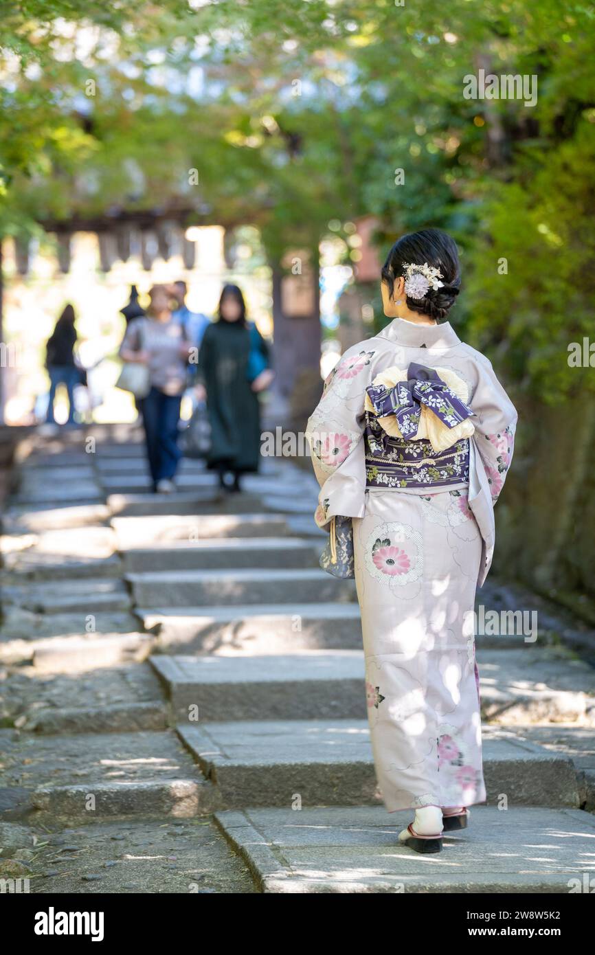 Geisha wearing a kimono in Gion, Kyoto, Japan, Asia Stock Photo - Alamy