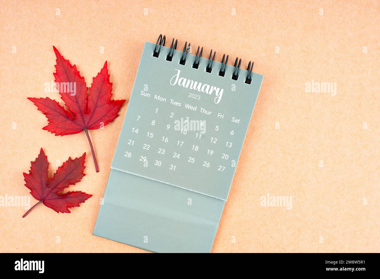 January 2024 monthly calendar and fall leaves on brown background Stock ...