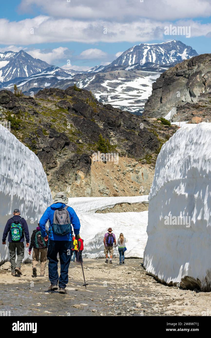 Hikers navigate the striking snow walls on Whistler Mountain, surrounded by the awe-inspiring vistas of the Canadian Rockies. Stock Photo