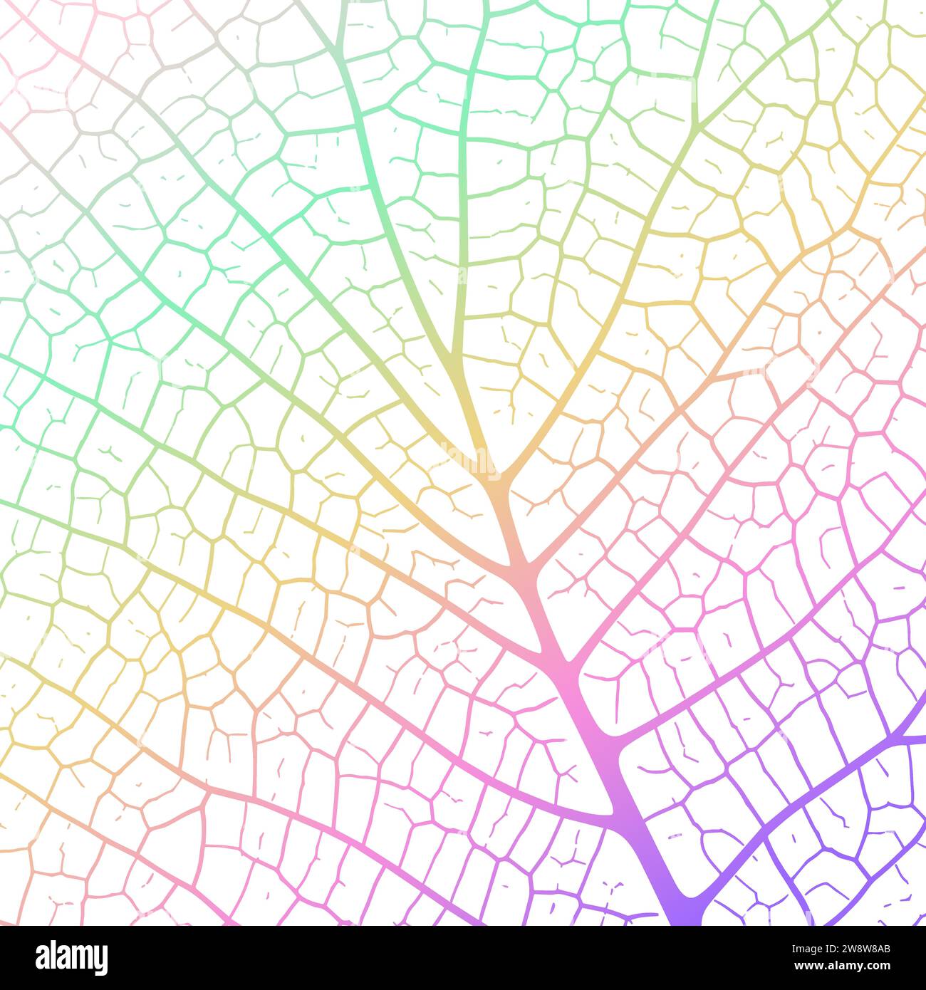 Leaf vein texture abstract background with close up plant leaf cells ...