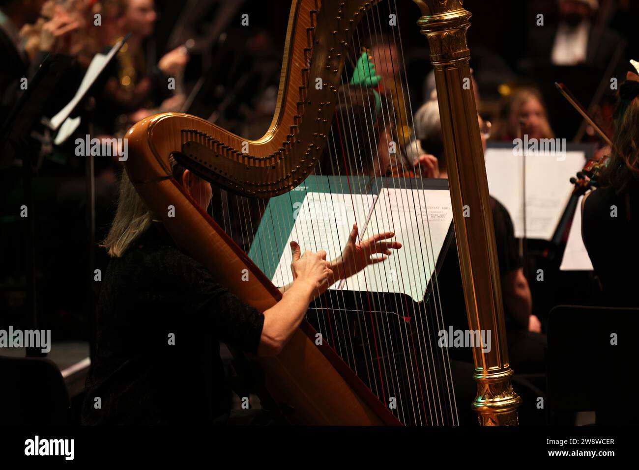 General views of a harpist playing her harp at the Brighton Dome in Brighton, East Sussex, UK. Stock Photo