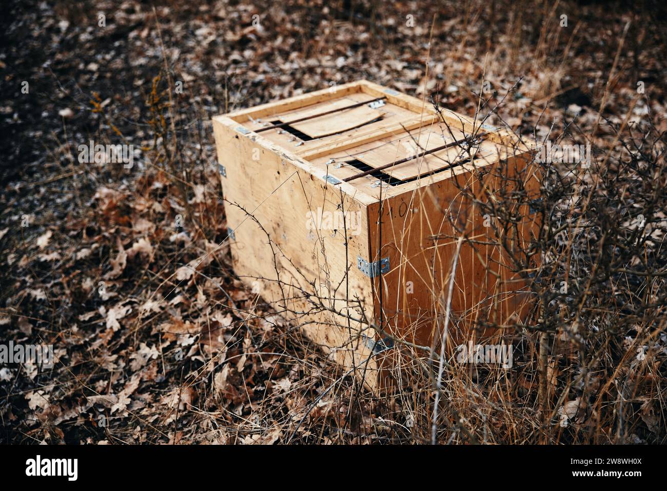Box for transporting game animals. Container for relocation of wild