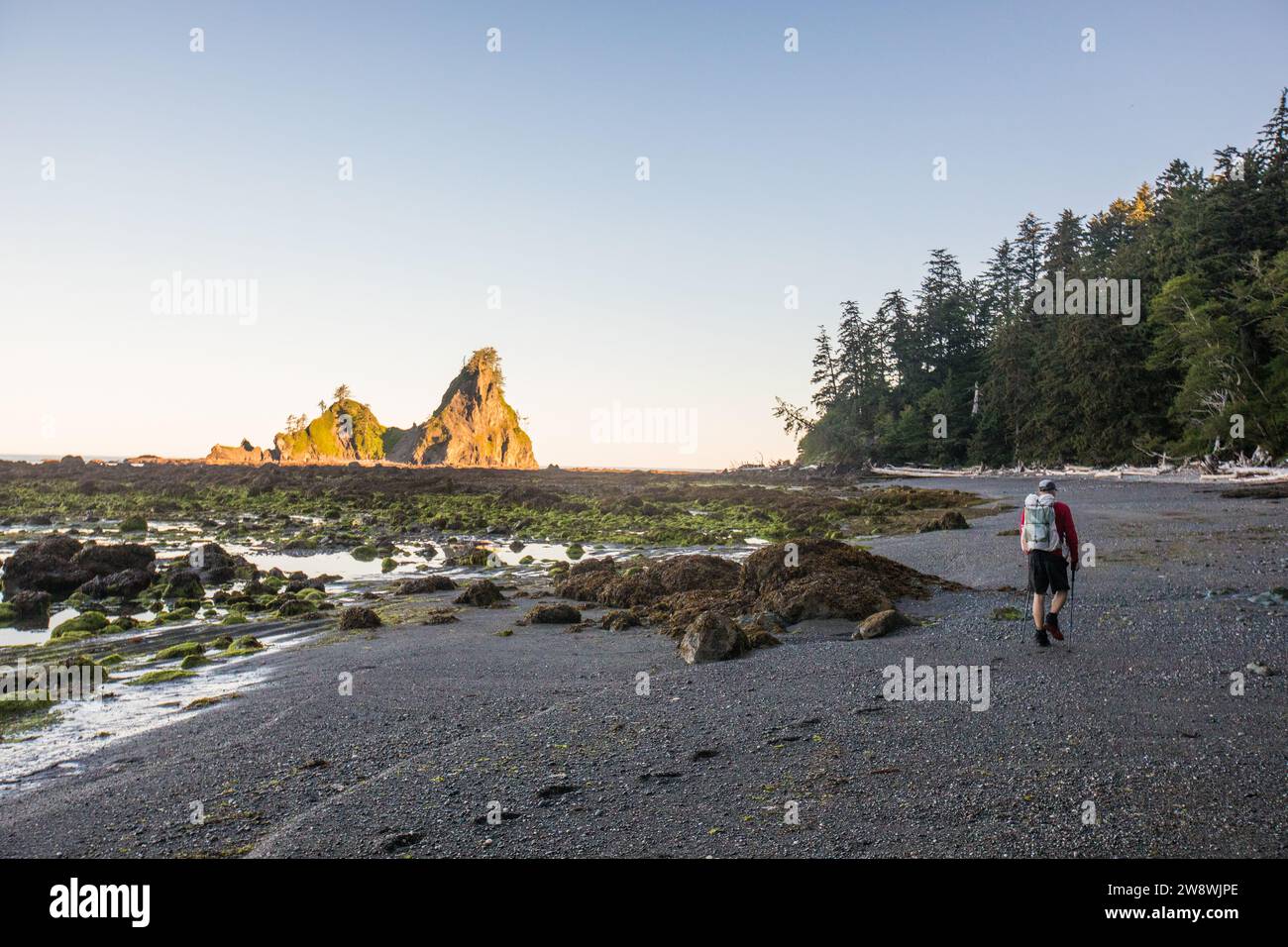 Rear view of backpacker leaving footprints in the sandy beach Stock