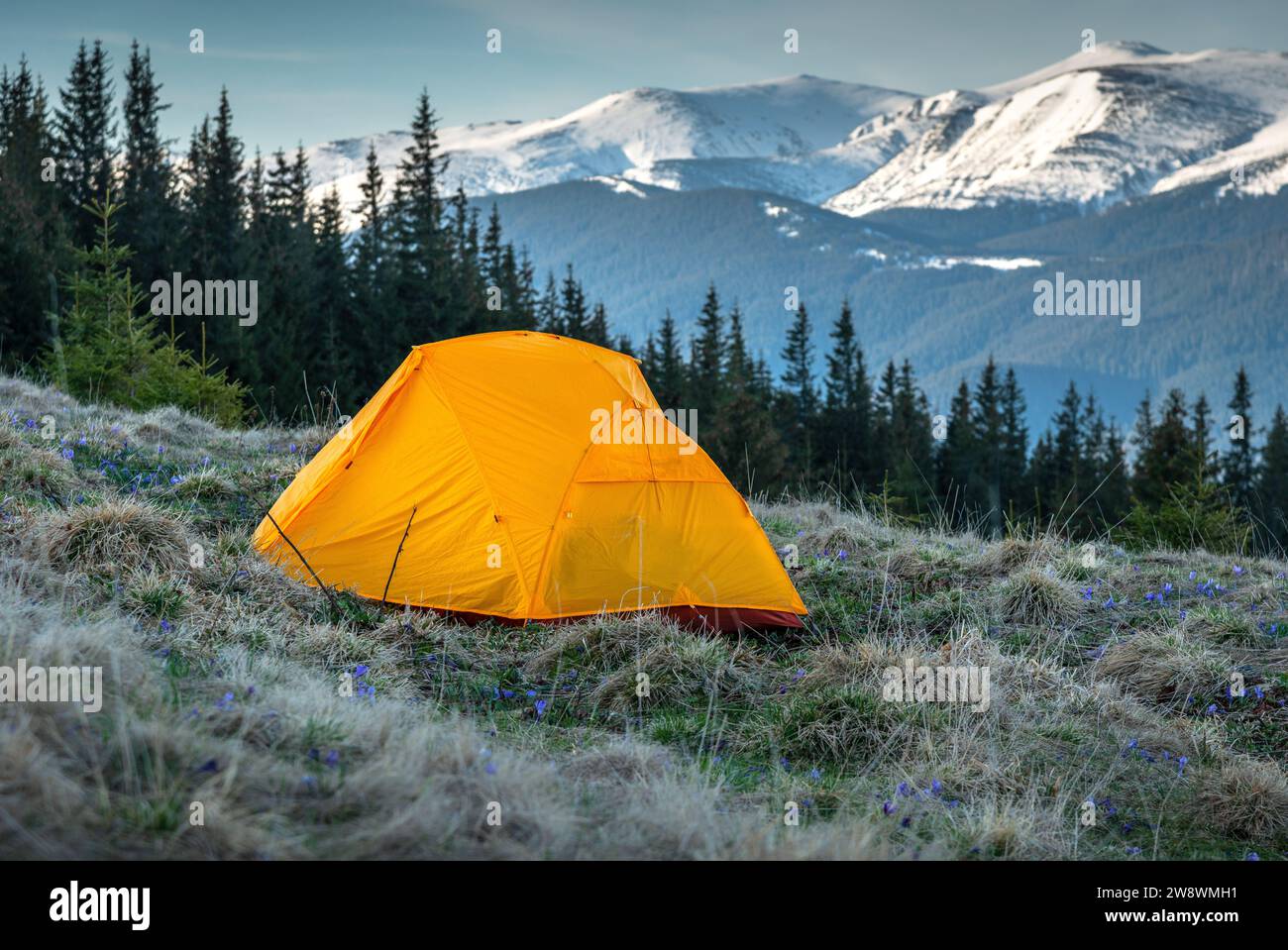 Tent Camping In The Mountains, First Morning Light Stock Photo