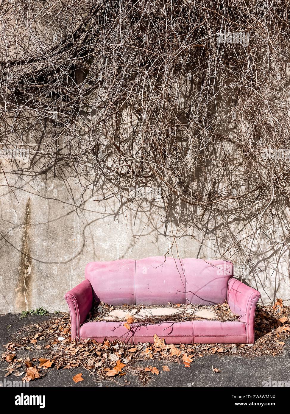 Old abandoned pink couch sitting outside under overgrown vines Stock Photo