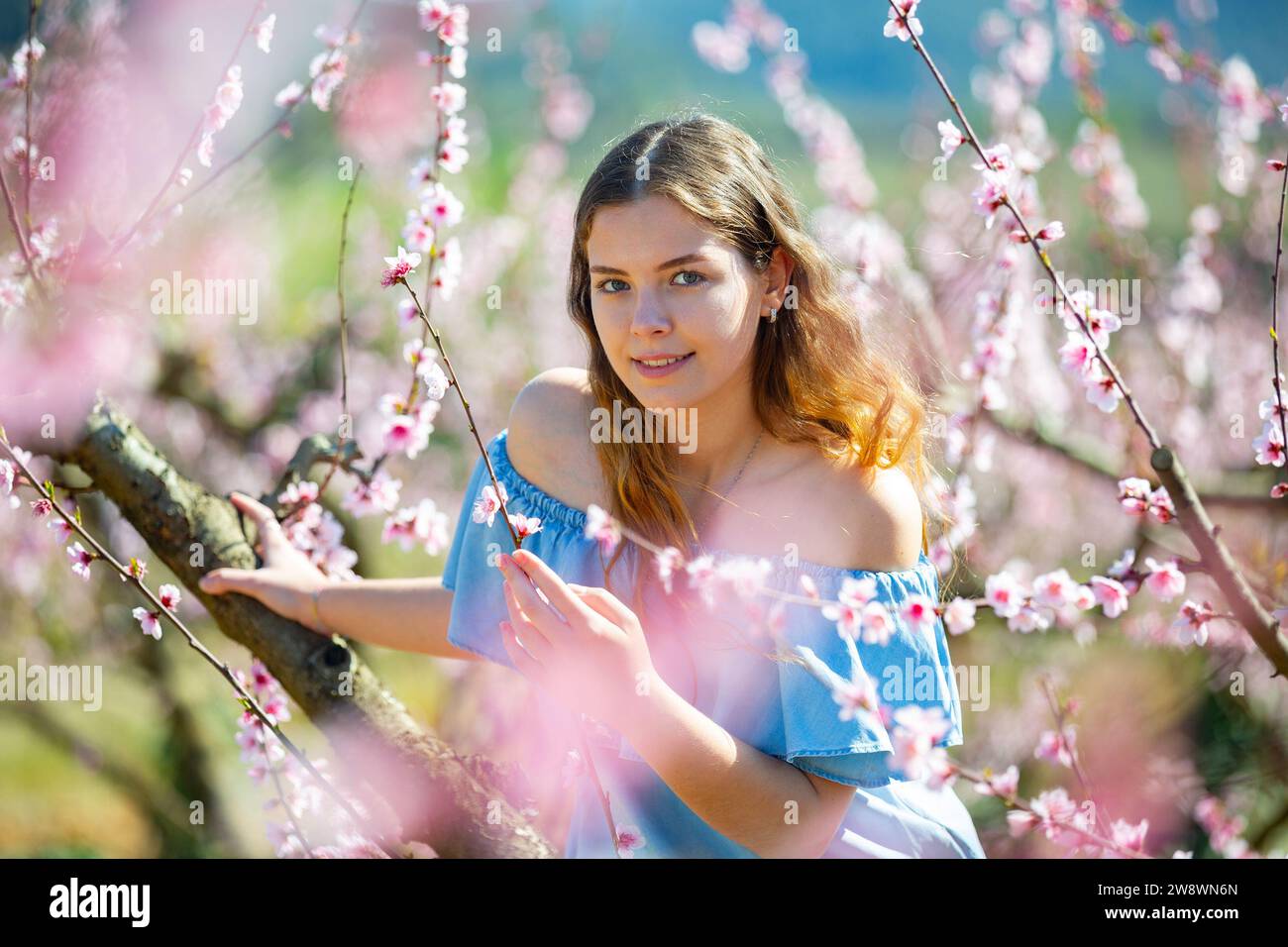 Portrait of an attractive girl in blue dress in blooming peach garden Stock Photo