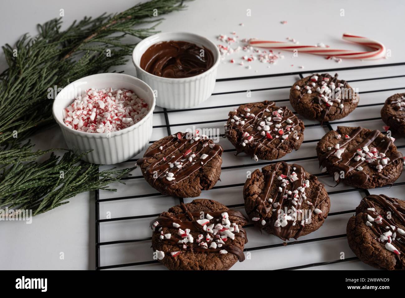 Chocolate cookies with peppermint sprinkles on baking rack. Stock Photo