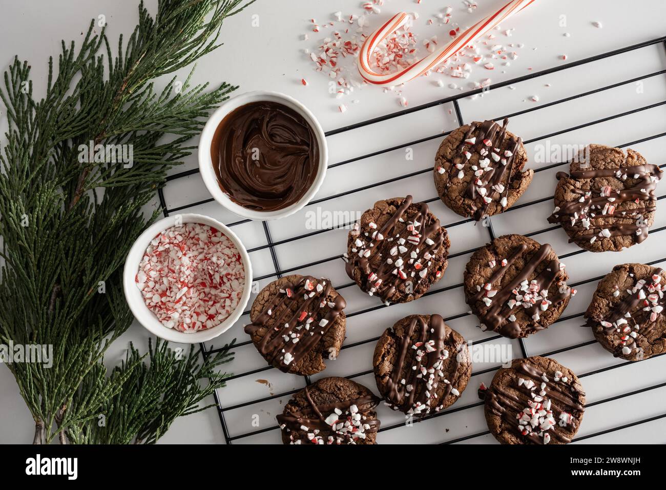 Chocolate cookies with peppermint sprinkles on baking rack. Stock Photo