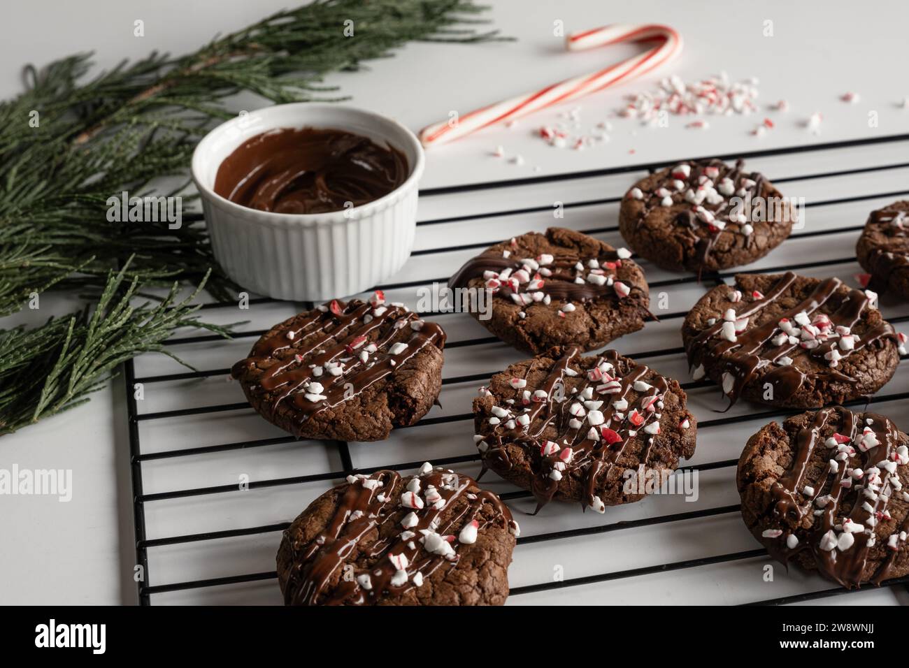 Chocolate cookies with peppermint sprinkles on baking rack. Stock Photo