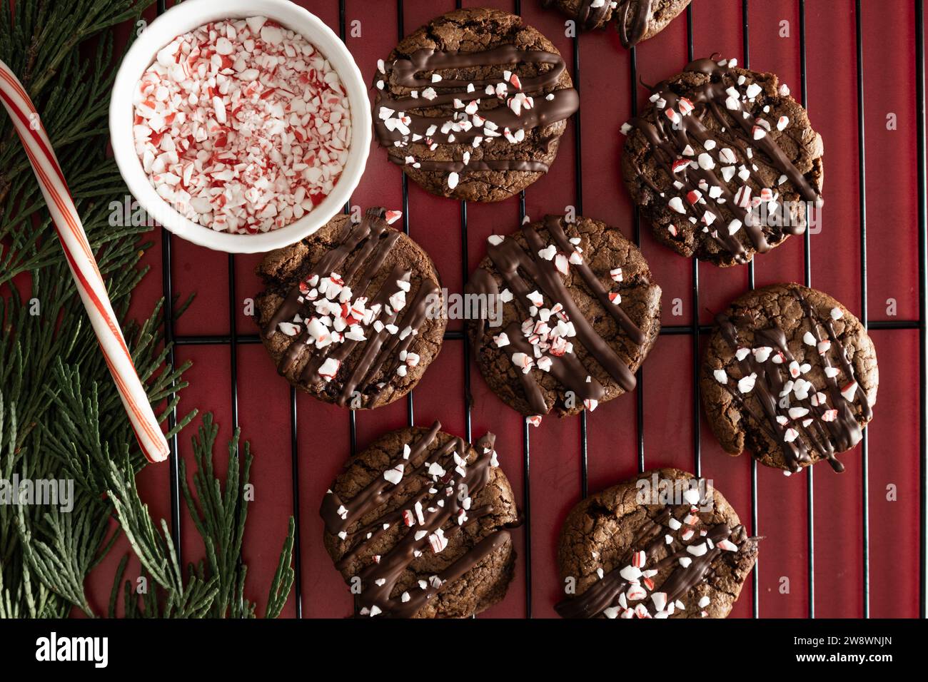 Chocolate cookies with peppermint sprinkles on baking rack. Stock Photo