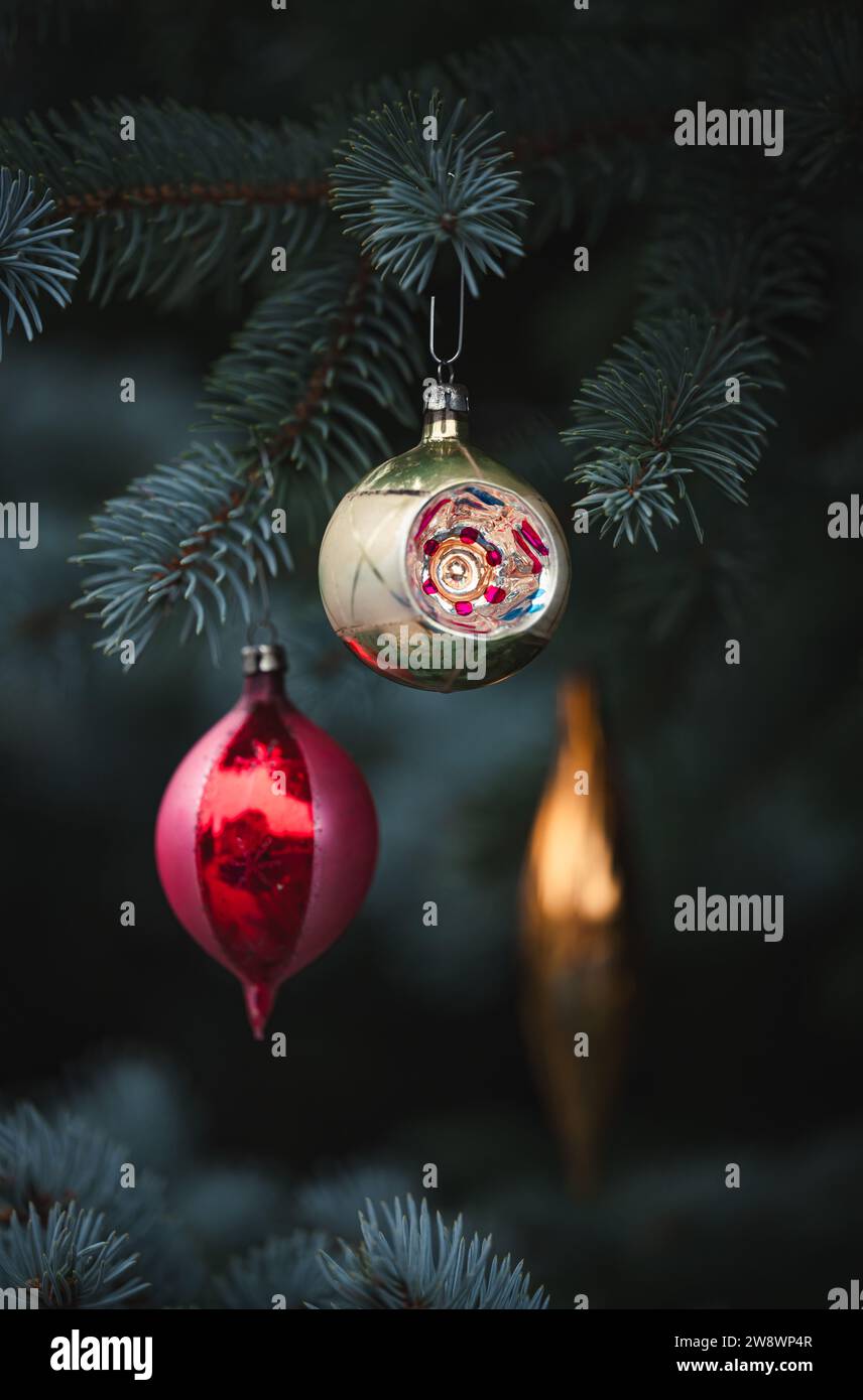 Vintage christmas ornaments hanging from fir tree branches Stock Photo ...