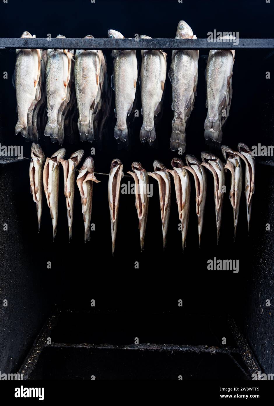 Ecological smoking of trout in a home woodfired smokehouse. Healthy, unprocessed food produced