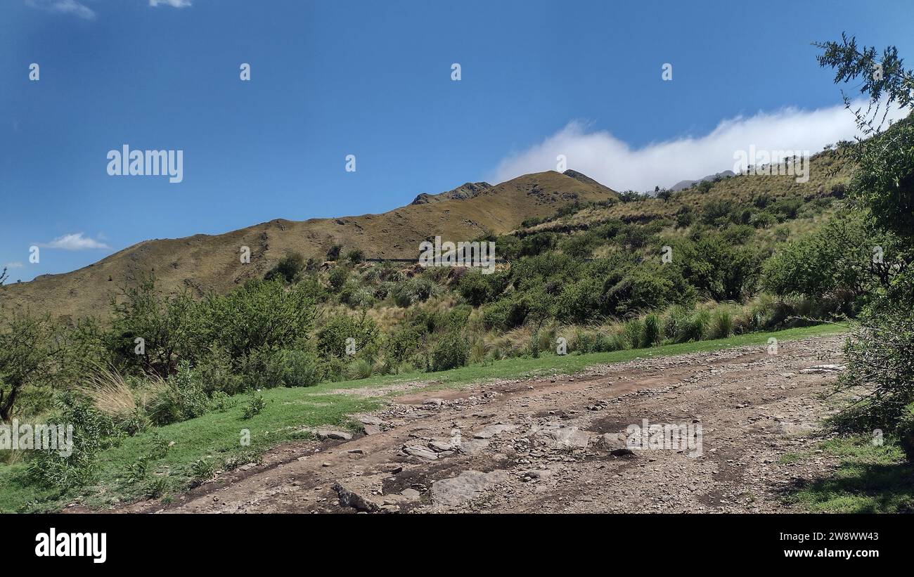 View of mountains with plants and trees in a sunny day with blue sky and some clouds Stock Photo
