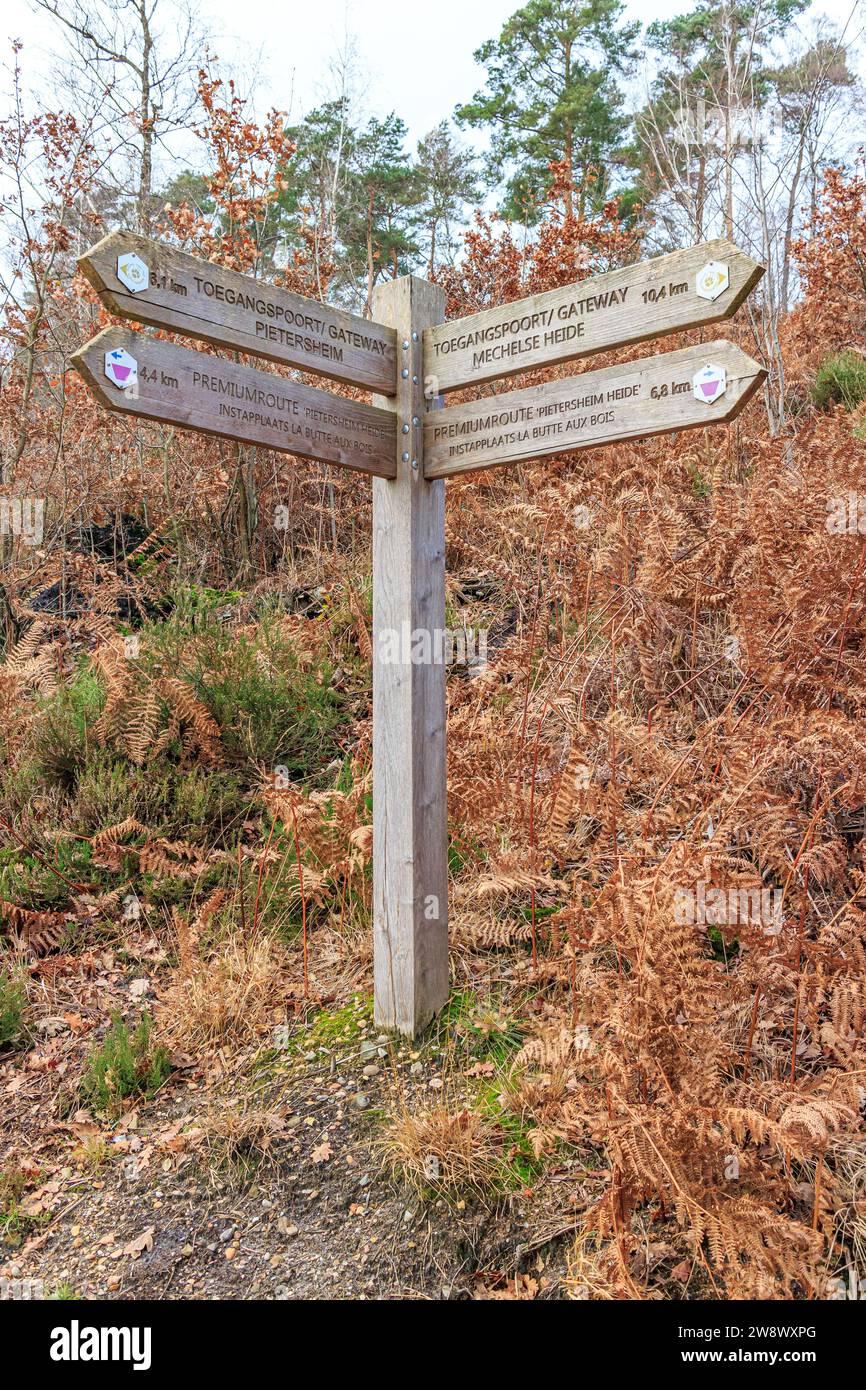 Wooden guide post at crossroads leading to nature reserves: Pietersheim, De Mechelse Herder, La Butte Aux Bois, hill with dry ferns in background, Lie Stock Photo