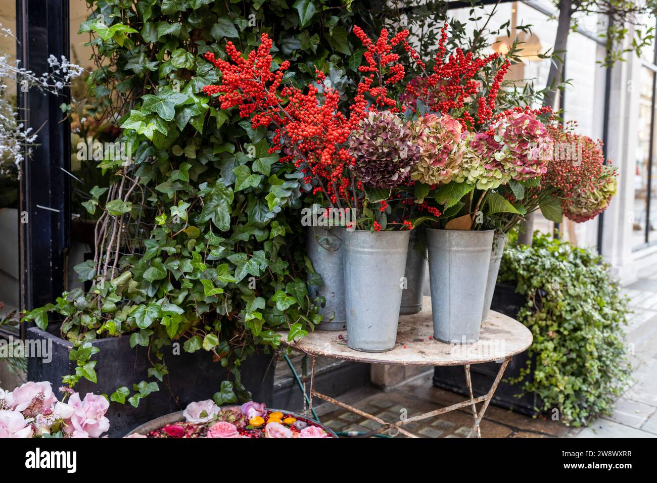 Ornamental shrubs of red and purple hydrangeas and petunias in large outdoor pots line the border of outdoor cafes and restaurants Stock Photo