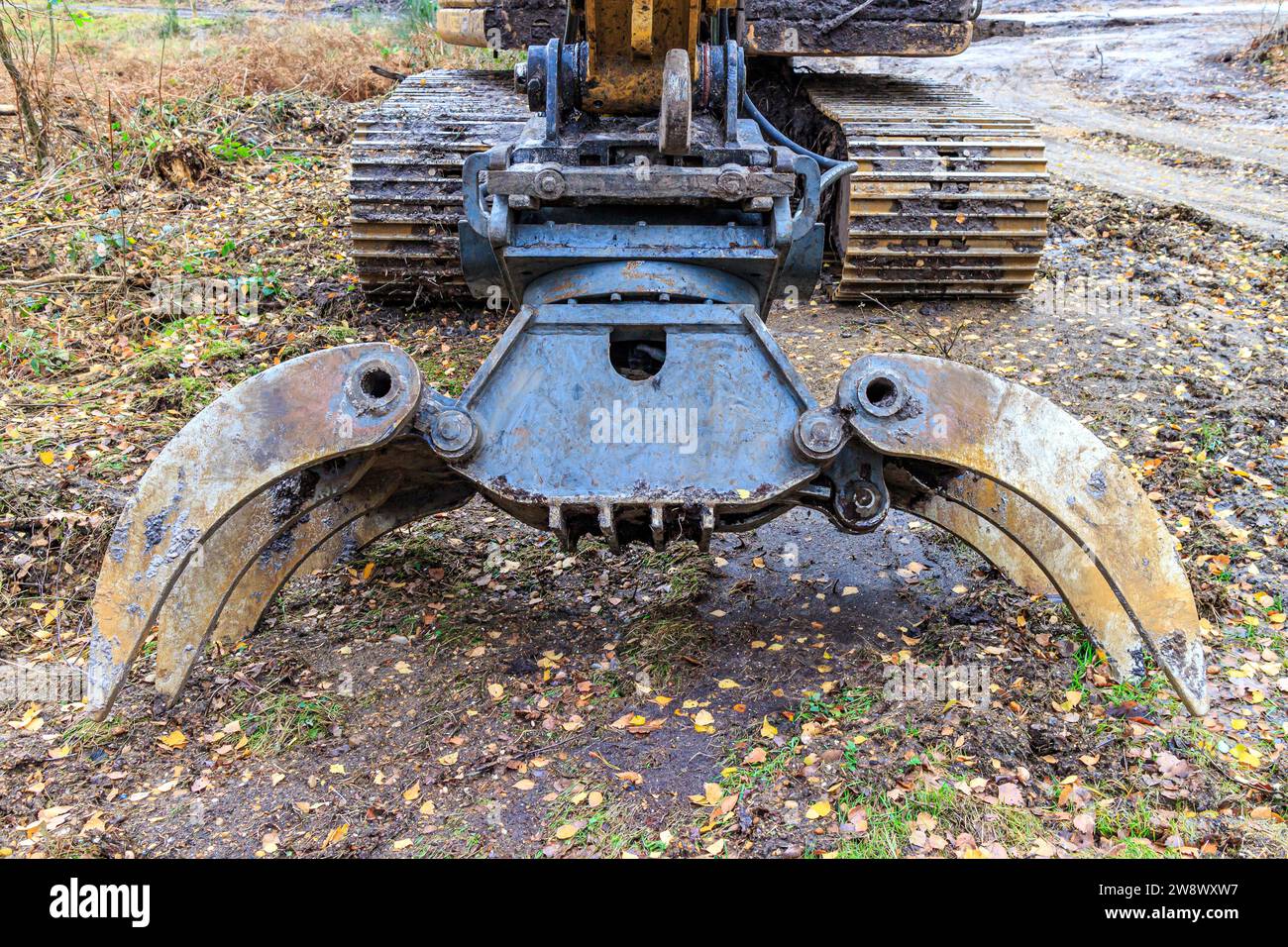 Close-up of open grabs of an grapple excavator, muddy ground in background, forestry workplace in controlled reforestation and maintenance in forest Stock Photo