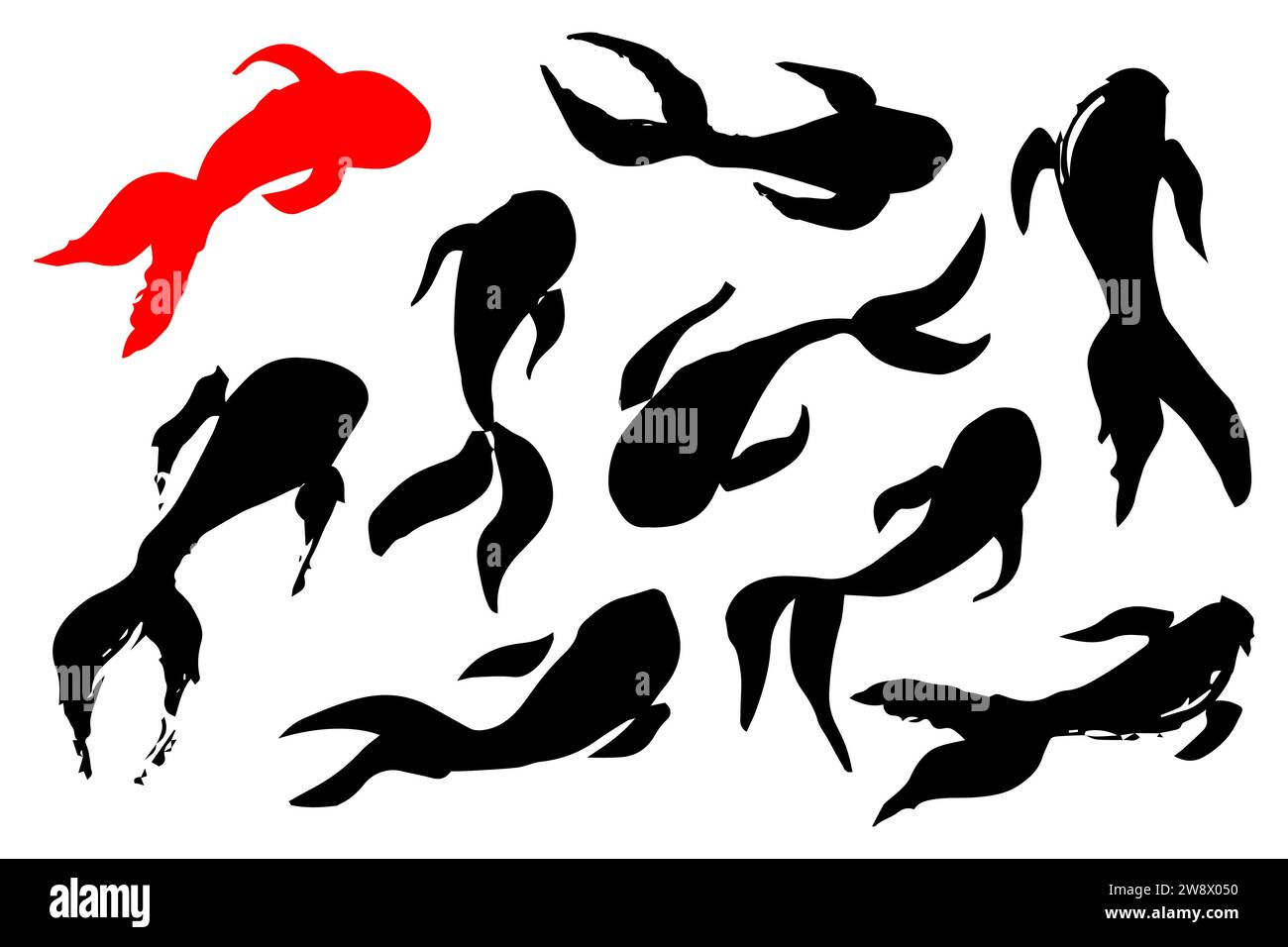 Carp koi fish swimming in a pond hand painted with ink brush, isolated on white background. Vector illustration Stock Vector