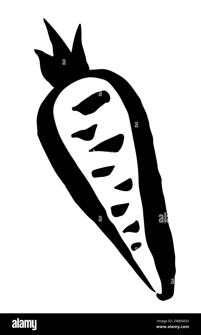 Carrot drawing hand painted with ink brush isolated on white background ...