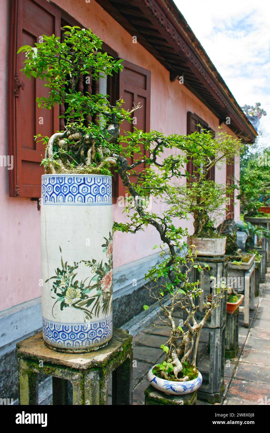 Collection of bonsais at the Thien Mu Pagoda where monks live in this