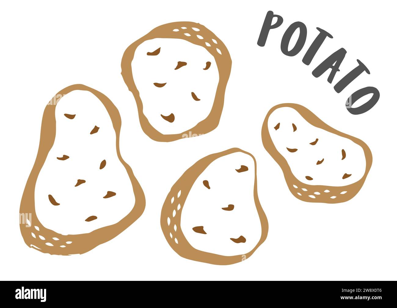 Potatoes drawing hand painted with ink brush isolated on white background. Vector illustration