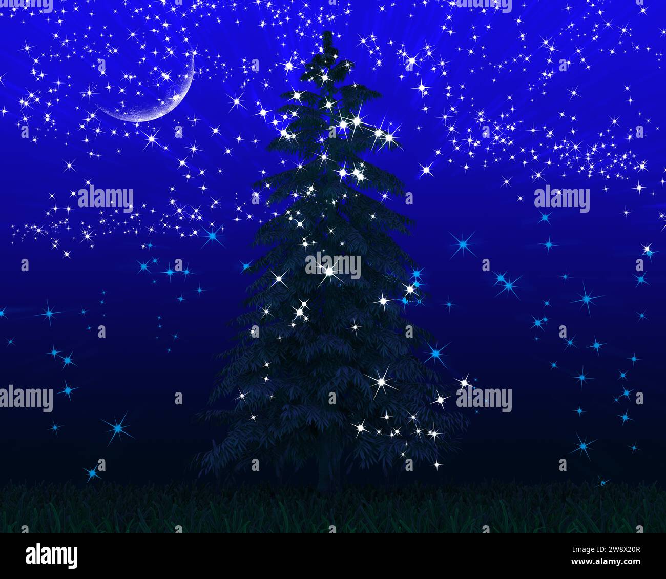 background with pine sky and shining stars Stock Photo