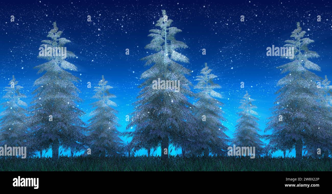 night landscape pine forests with snowfall Stock Photo