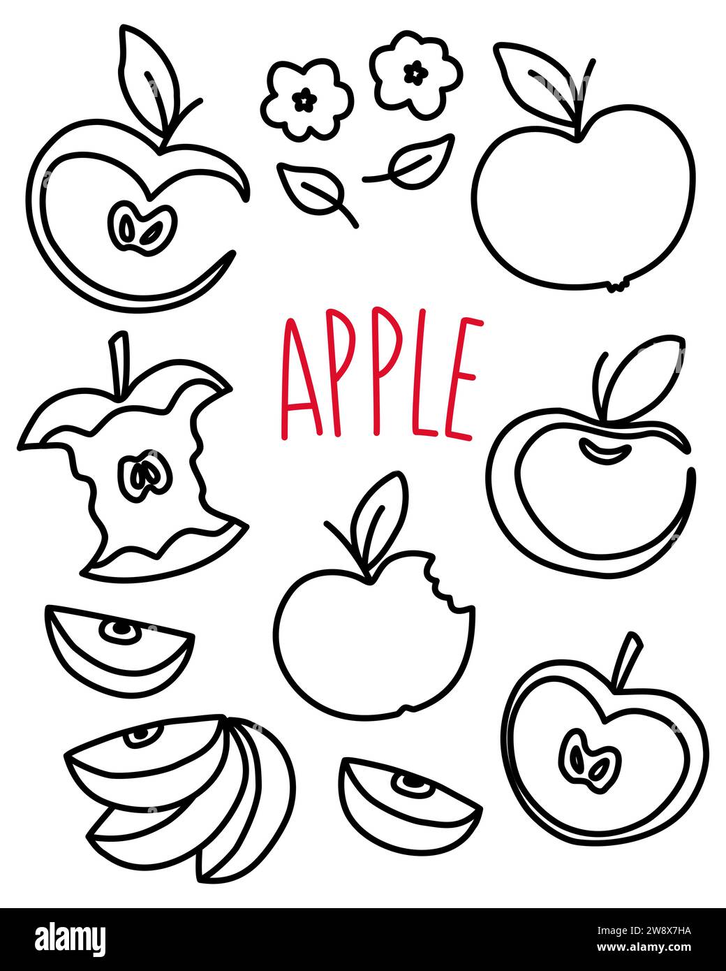 Apple set hand drawn with thin line isolated on white background. Vector illustration Stock Vector