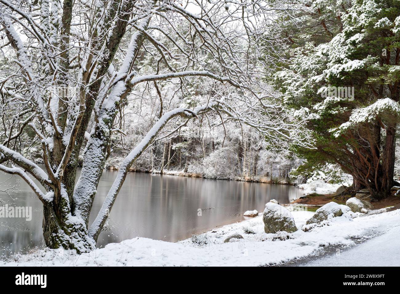 Frozen Loch Garten in the snow. Highlands, Scotland Stock Photo