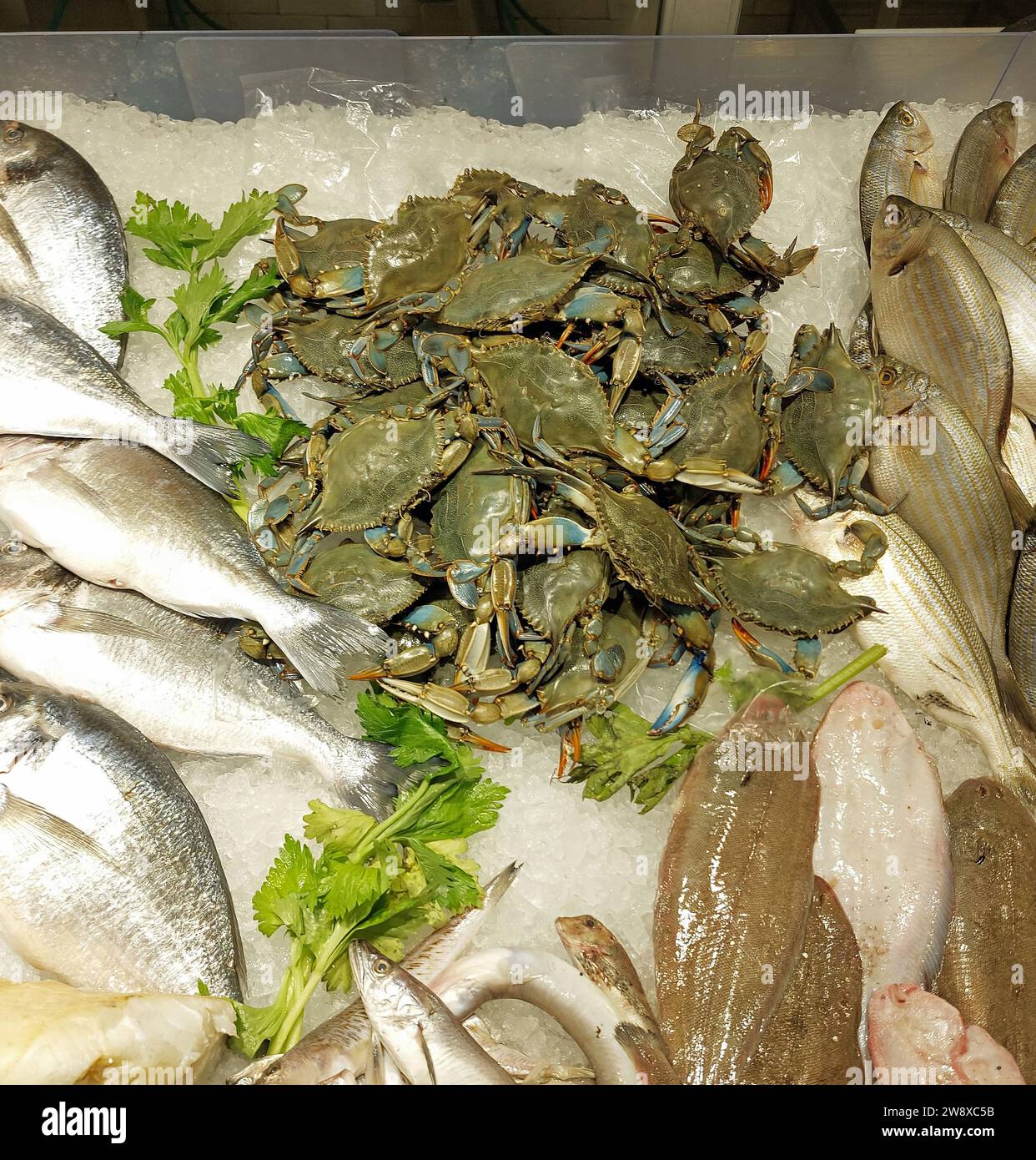 lots of very fresh blue crabs on the counter full of ice for sale in fish shops and more fish Stock Photo