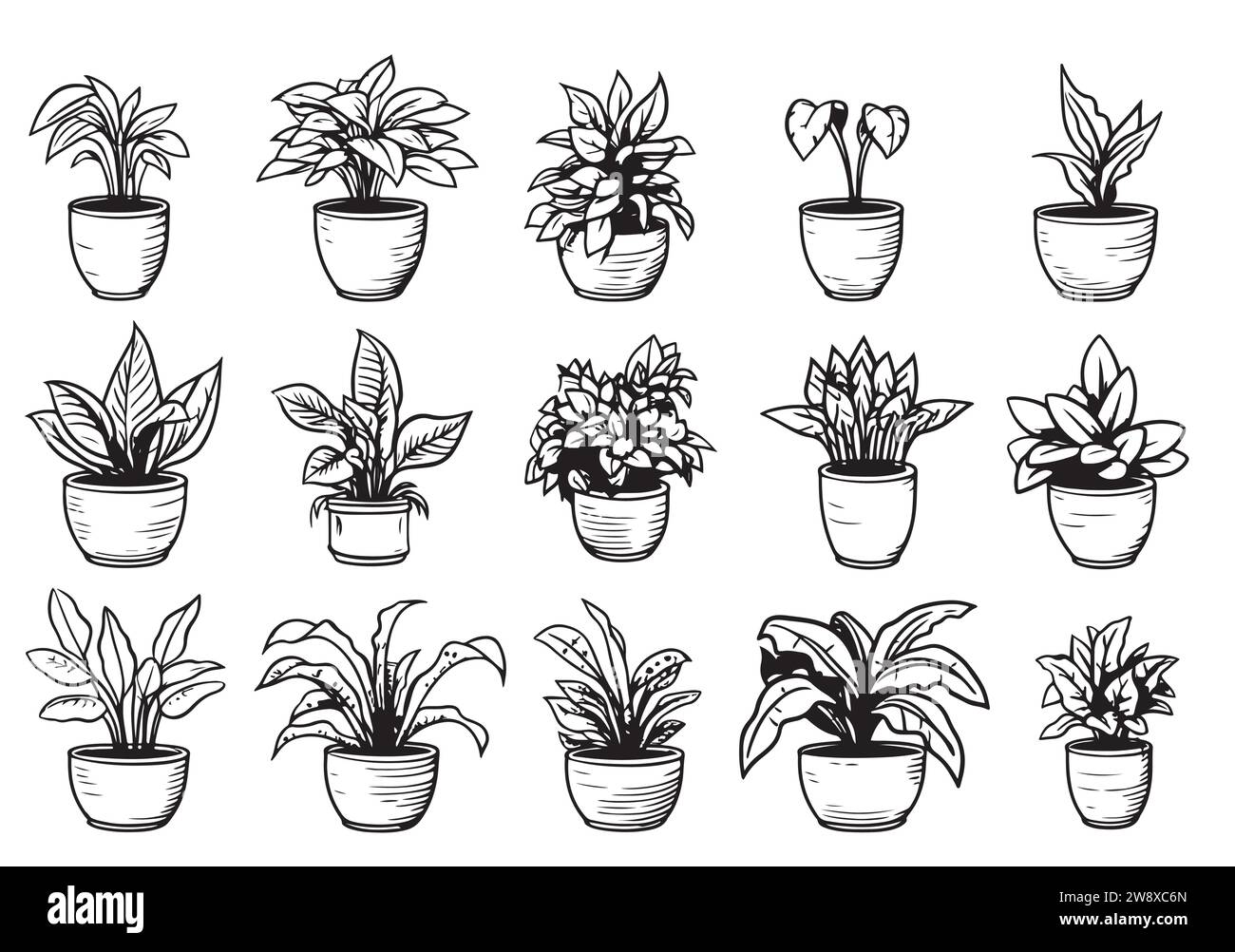 Vector set of sketches house plants in pots on a white background