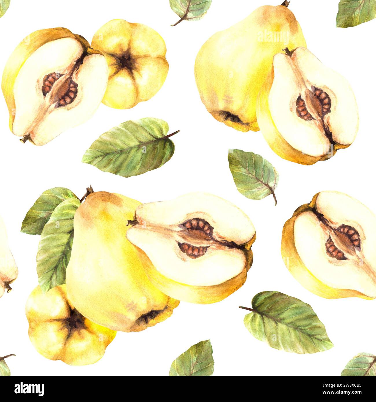 Watercolor hand painted seamless pattern. Yellow juicy quince whole and ...