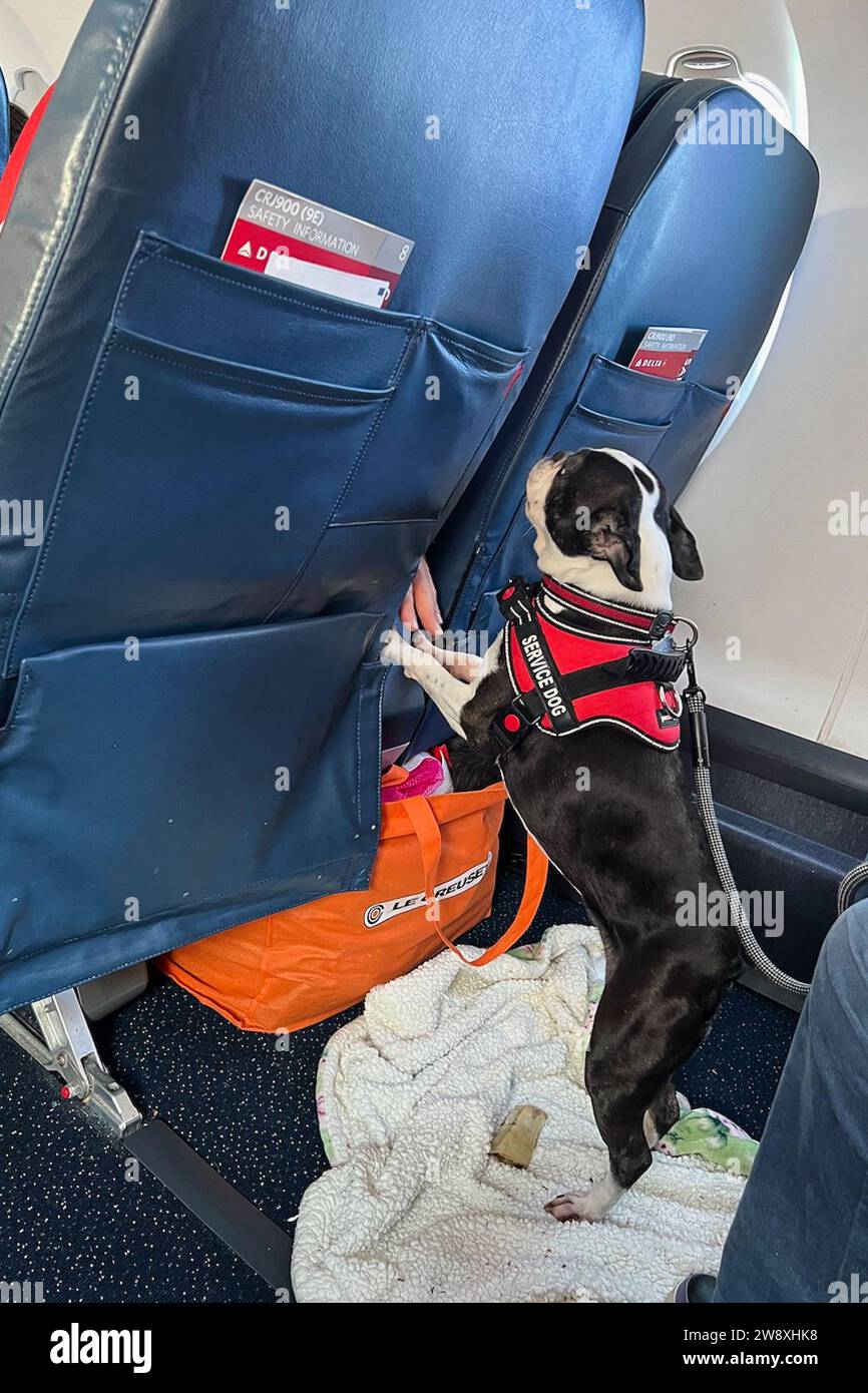 Acaa emotional support animal new arrivals