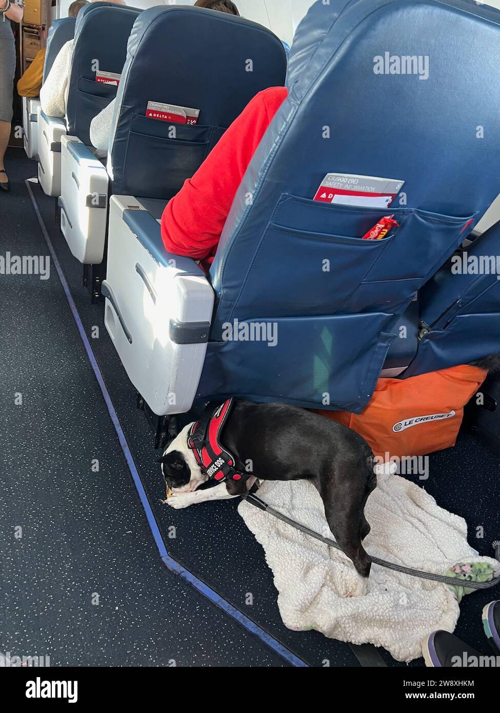 Delta support animals sales