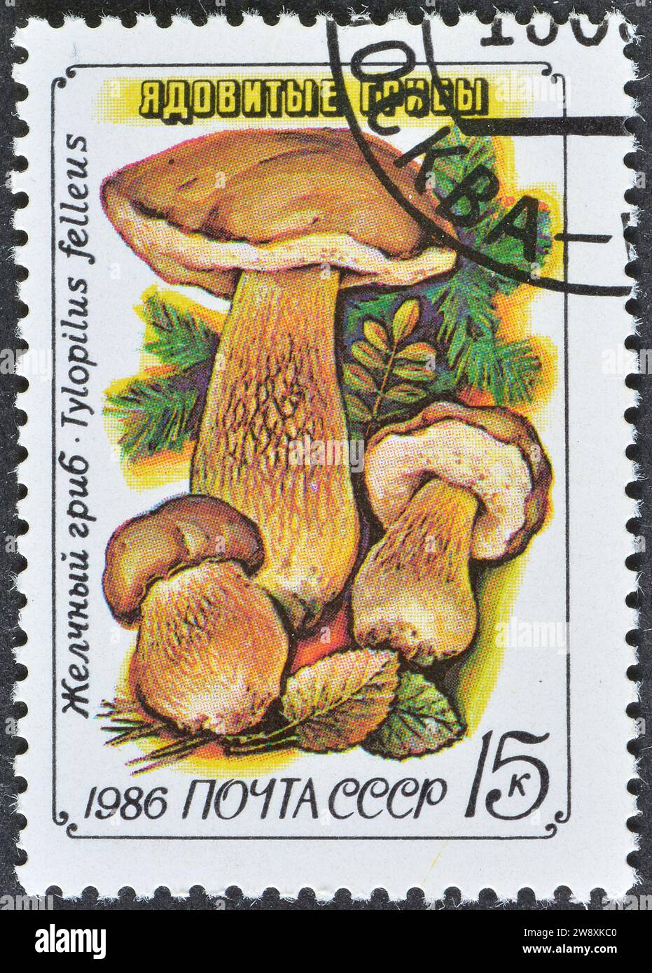 Cancelled postage stamp printed by Soviet Union, that shows Bitter Bollete (Tylopilus felleus), Poisonous Mushrooms, circa 1986. Stock Photo