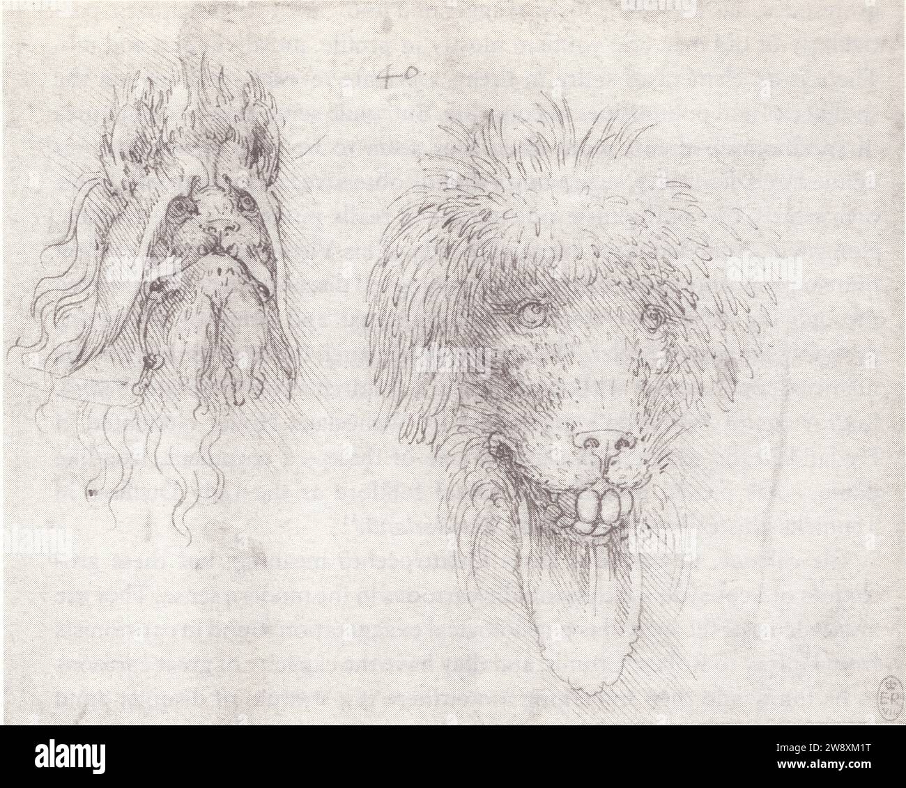 LEONARDO DA VINCI.MONSTERS.TWO FESTIVE MASKS OF THE 1490 Stock Photo ...
