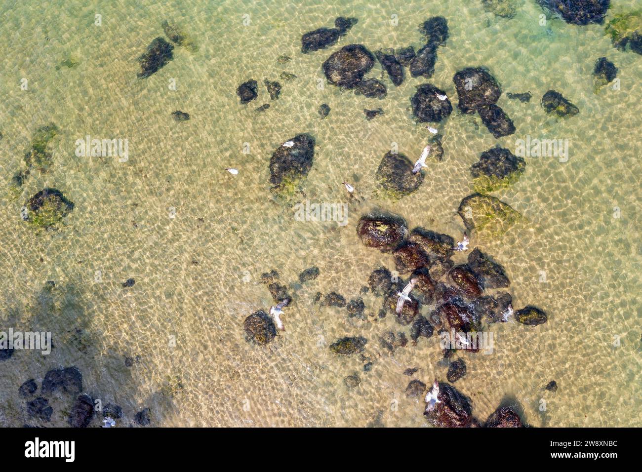 Flight above crystal clear water hi-res stock photography and images ...