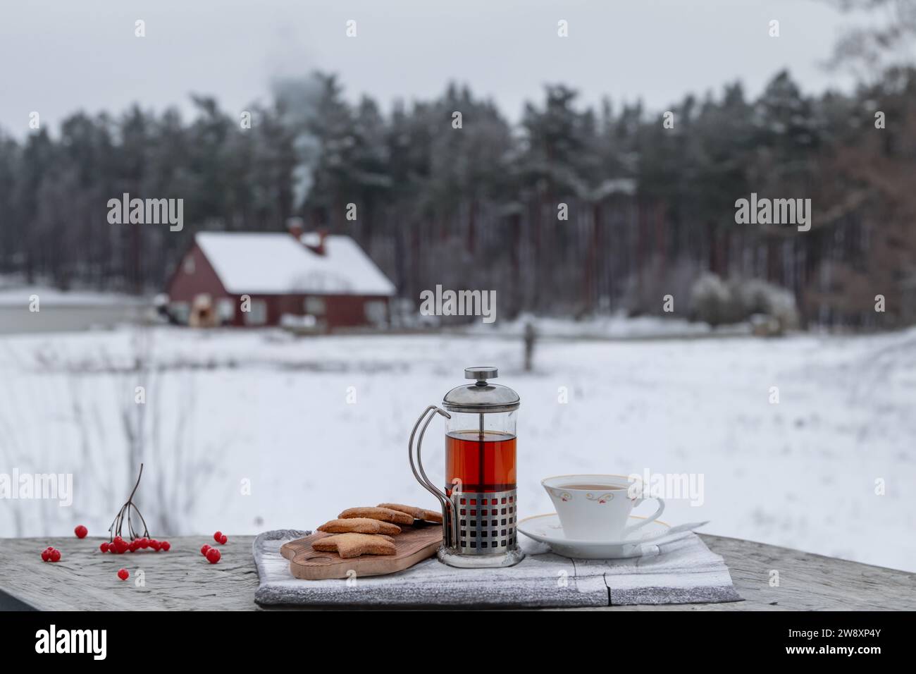 Tea in a teapot on a snowy forest meadow with a house. Stock Photo